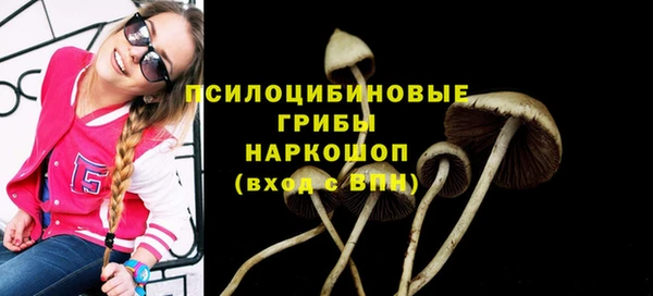 MESCALINE Верея