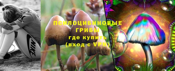 не бодяженный Верхний Тагил
