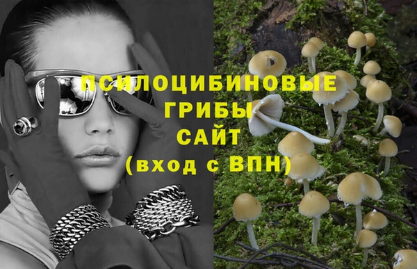 не бодяженный Верхний Тагил
