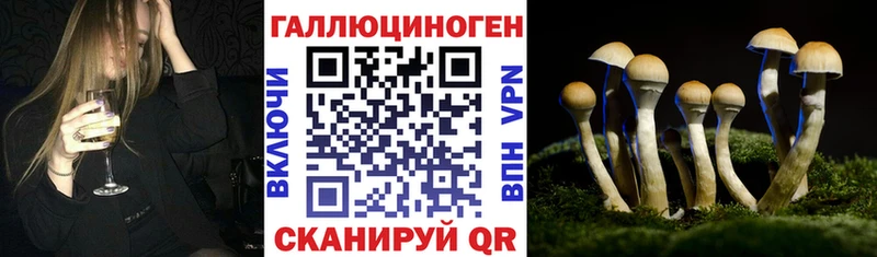 Галлюциногенные грибы прущие грибы  Яровое 